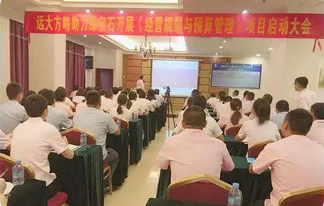 遠大方略助力肇慶綠寶石電子科技股份（831804）落地《年度經營規(guī)劃與預算管理》改善項目